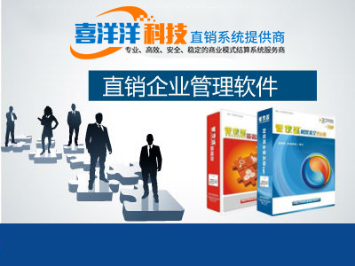 軟件開發(fā)、技術(shù)開發(fā)與制度設(shè)計(jì)在企業(yè)營銷策劃中的集成應(yīng)用咨詢